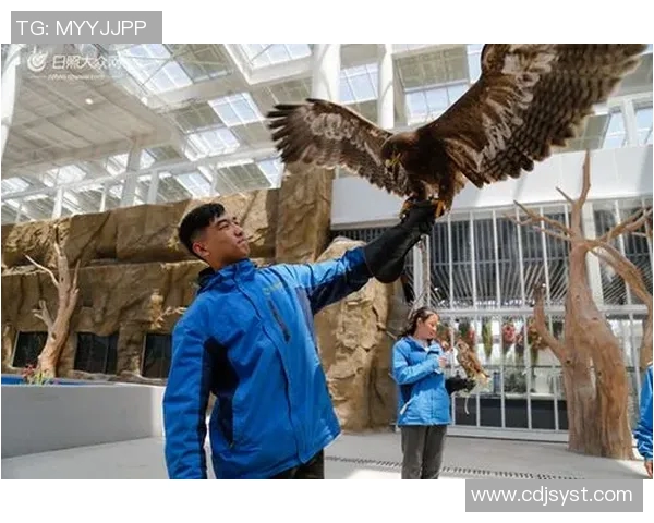 日照足球明星最新阵容揭秘及球员表现分析