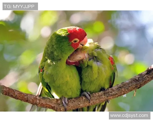 足球明星与他的男友携手共度甜蜜时光展现爱情与事业的双重辉煌 足球明星与他的男友携手共度甜蜜时光展现爱情与事业的双重辉煌