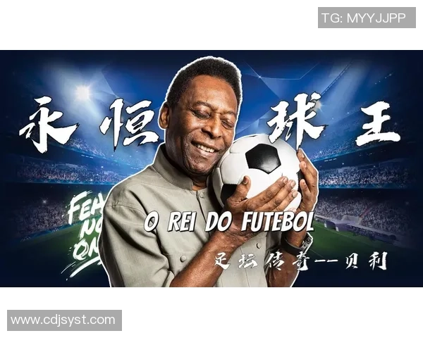 恶狗足球明星背后的传奇故事与成就揭秘