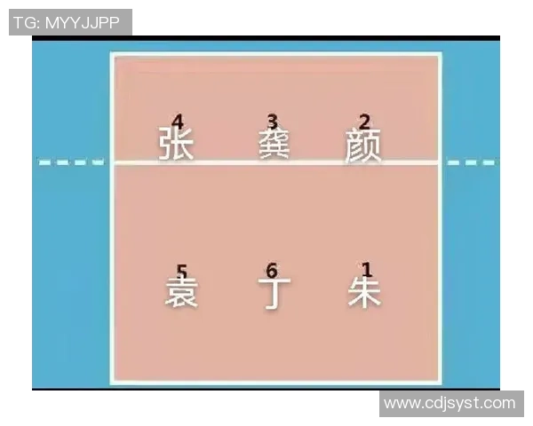 武汉排球队节奏对比分析：战术风格与比赛表现的深度剖析