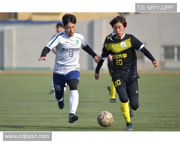 深圳篮球队的节奏分析与战术探讨聚焦球队发展与未来展望