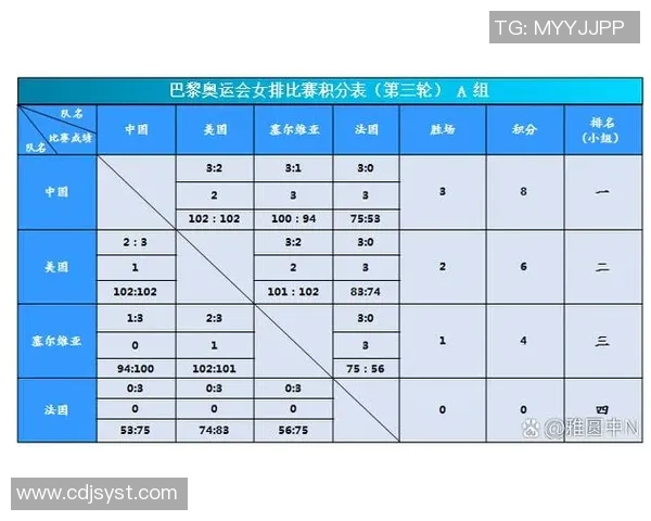 南京排球队的节奏与魅力探讨聚焦排球运动的未来发展与挑战