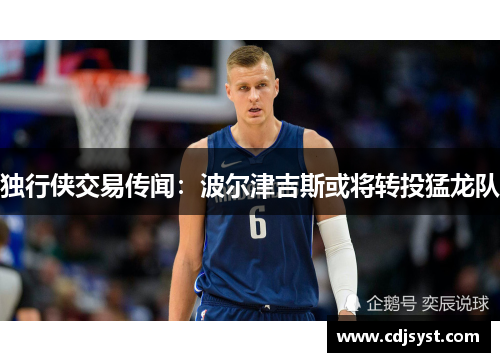 独行侠交易传闻：波尔津吉斯或将转投猛龙队