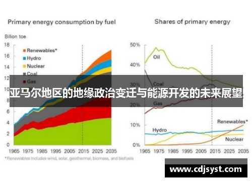 亚马尔地区的地缘政治变迁与能源开发的未来展望